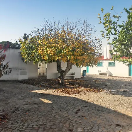 別荘 Bright Family House In With Stunning Sea View