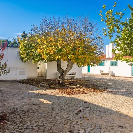 Bright Family House In With Stunning Sea View *